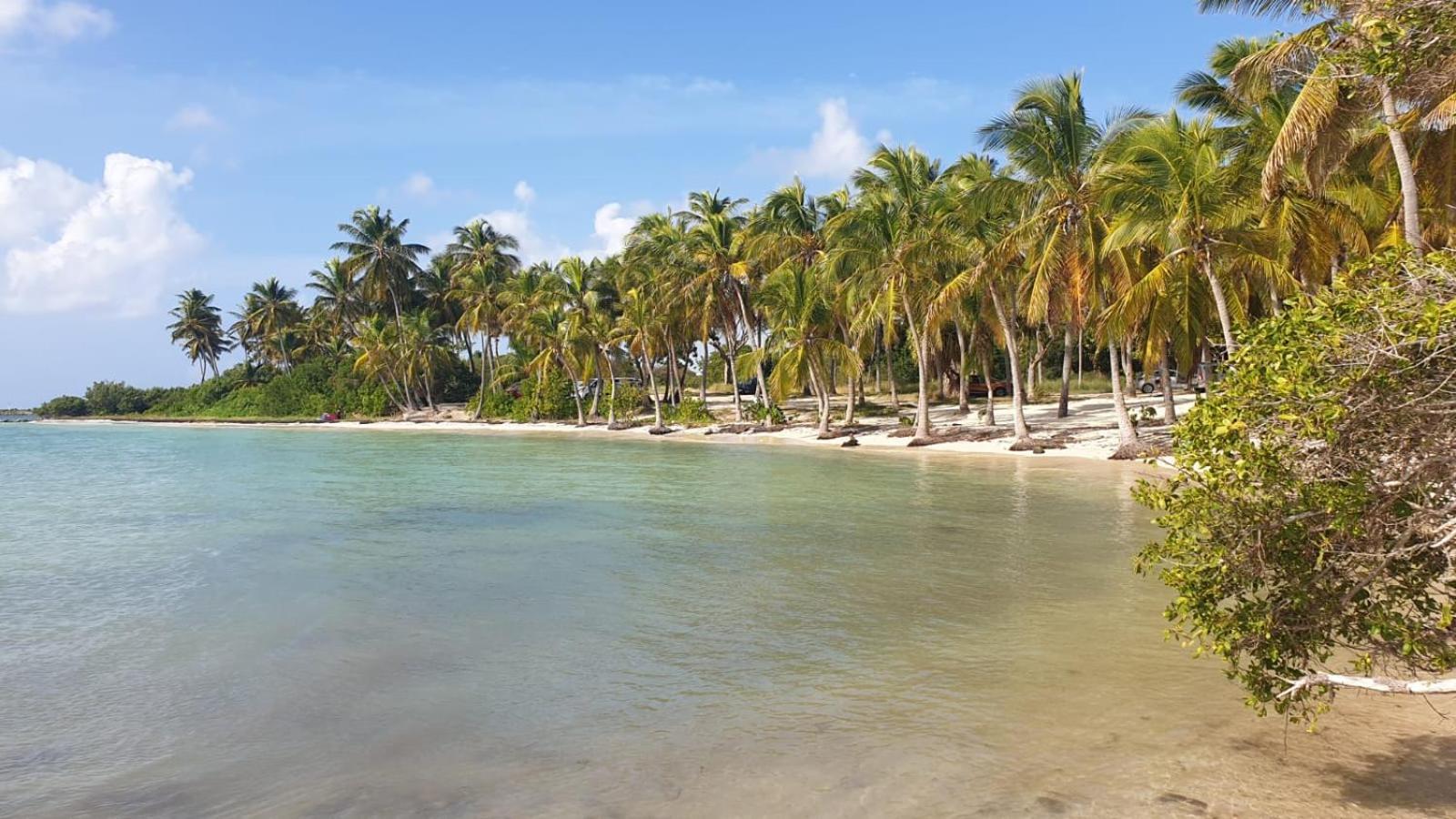 Studios Angoreva Vue Mer - Cote Plage Ou Jardin - Village Vacances - Sainte-Anne Guadeloupe Courcelles Exterior foto